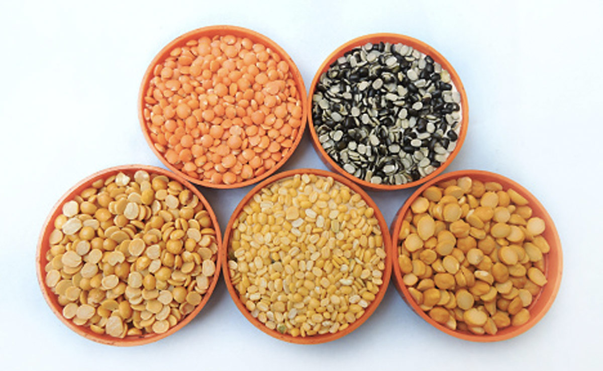 Masala Pulverizer Machine | Flour mill Manufacturers -Aatomize